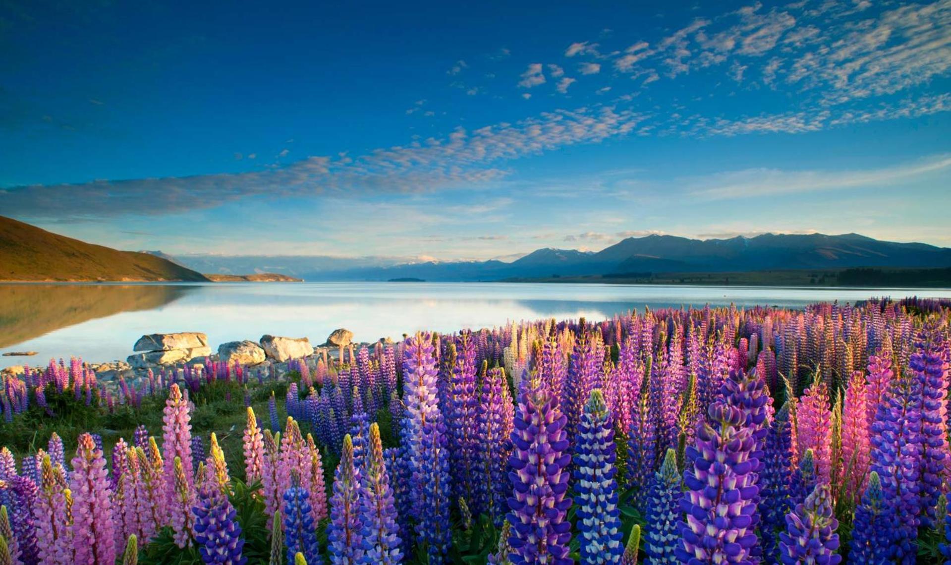 Tekapo1929 Lakefront Villa Lake Tekapo Zewnętrze zdjęcie