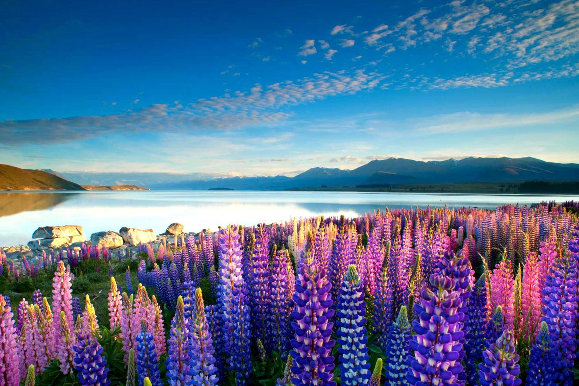 Tekapo1929 Lakefront Villa Lake Tekapo Zewnętrze zdjęcie
